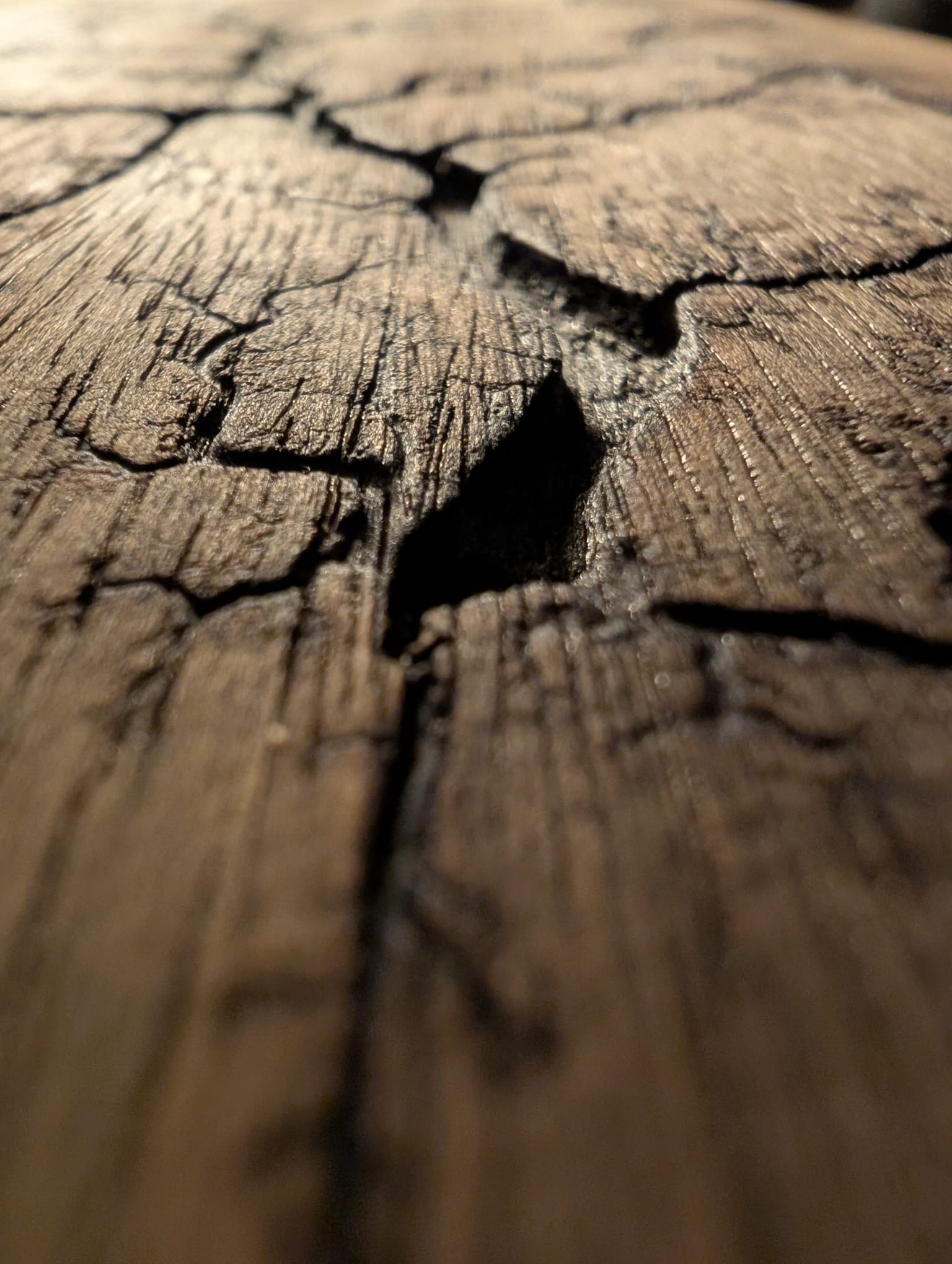 Bois flotté aux craquelures profondes – matière brute avant transformation dans l'atelier
