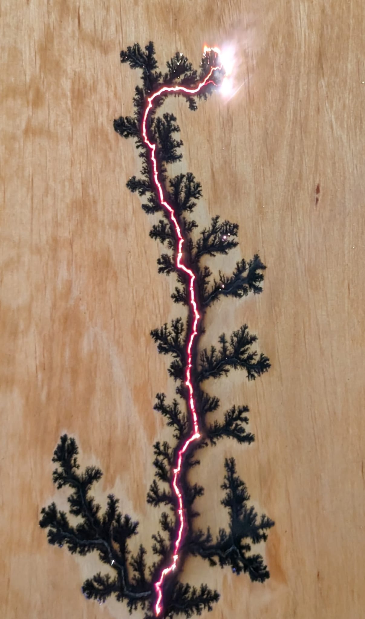 Pyrographie Lichtenberg en cours – brûlure électrique sur bois