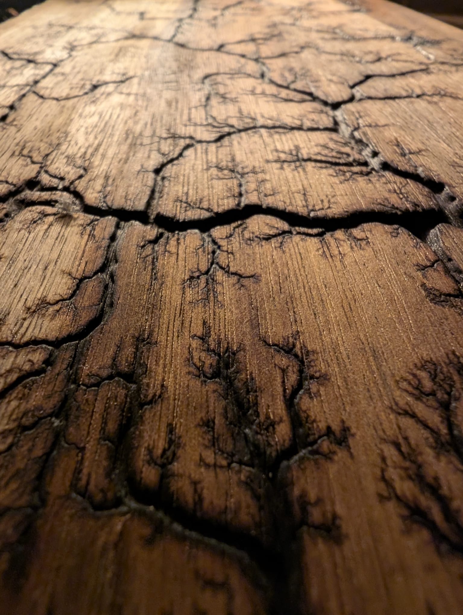 Détail macro de gravure Lichtenberg sur bois – arborescences brûlées au fil du grain